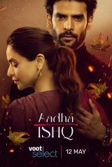 Aadha Ishq (Season 1) (2022) WEB-DL 480p | 720p