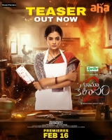 BhamaKalapam 2 (2024) WEB-DL x264 AVC AAC 480p | 720p | 1080p