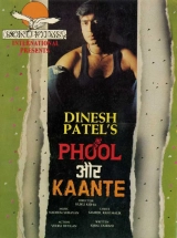 Phool Aur Kaante (1991) WEB-DL 480p | 720p | 1080p