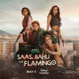 Saas, Bahu Aur Flamingo (Season 1) (2023) WEB-DL 480p | 720p | 1080p