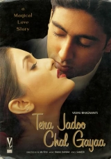 Tera Jadoo Chal Gayaa (2000) WEB-DL 480p | 720p | 1080p